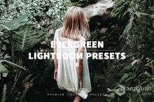 10个清新森系旅拍风光人像lr预设10 EVERGREEN Lightroom Presets