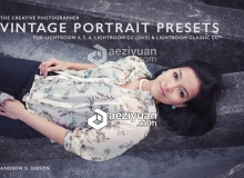 复古色调Lightroom预设 Vintage Portrait Presets for Lightroom