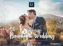 50专业婚礼Lightroom预设合集 50 Pro Wedding Presets Collection