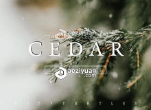 微妙胶片色调桌面+移动LLightroom预设套装 CEDAR Subtle Moody Lightroom Presets