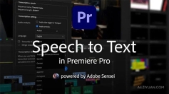 PR语音转字幕文本语言包插件 Adobe Speech to Text v2.1.6 for Premiere Pro 2024 Win版