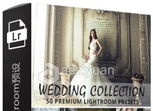 50高级婚礼Lightroom预设 50 Premium Wedding Lightroom Presets