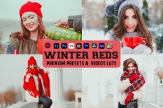 2款温暖明亮冬季摄影人像后期LR调色LUT预设 Winter Reds Luts Video & Presets