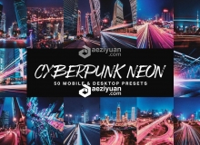 史诗般城市夜景风光LR预设+LUT预设 Cyberpunk Neon Lightroom Presets