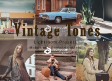 复古电影胶片色调LR预设/手机LR滤镜Vintage Tones-Lightroom Presets