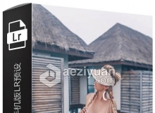 Yulia Bezdar马尔代夫旅行摄影手机版LR预设 Maldives Mobile Presets