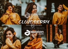 现代VSCOCam M5人像Lightroom预设 Cloudberry Lightroom Preset