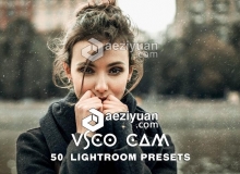 Vsco Cam人像Lightroom预设 Vsco Cam 50 Lightroom Presets