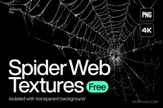 200款蛛丝蜘蛛网残破荒芜场景设计图片素材 200 Spider Web Textures