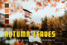 秋季风光摄影后期Lightroom预设 6 Autumn Leaves Lighreoom and Photoshop Presets