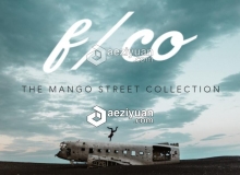 胶片LR预设 The Mango Street Collection | Lightroom Presets