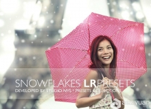 10冬季人像景观雪花Lightroom预设 Snowflakes Lightroom Presets