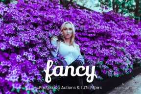 30款精美的Photoshop动作和视频LUT适合各种主题 30 Fancy Photoshop Actions & LUTs