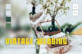 6种复古电影婚礼lr预设 6 Vintage wedding Lightroom and Photoshop Presets