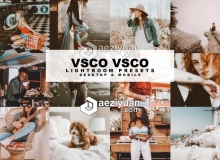 Ins风VSCO手机版滤镜人像色调VSCO Lightroom预设 VSCO Lightroom Presets