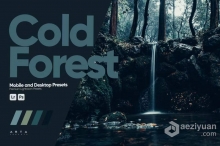 ARTA Presets- 黑暗森林风光调色lr预设 Cold Forest Presets for Lightroom