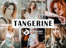 哑光金色调旅拍人像LR预设+移动APP预设 Tangerine Lightroom Presets