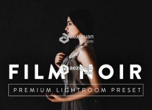 黑暗电影胶片人像Lightroom预设 FILM NOIR Pro Lightroom Preset