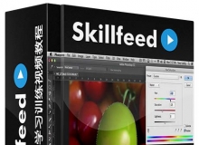 Photoshop全面学习训练视频教程Skillfeed Learn Photoshop In 3 Hours Complete