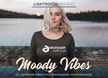 旅拍通透明亮喜怒无常氛围胶片LR预设 Moody Vibes Presets