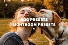 宠物狗摄影后期调色LR预设 10 DOG – Mobile & Desktop Lightroom Presets