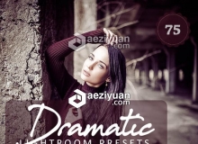 76组怀旧磨砂胶片感人像手机版LR预设 75 Dramatic Lightroom Presets