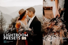 INS风风靡全球波西米亚风婚礼人像Lightroom预设包 Boho Wedding Lightroom Presets