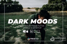 黑暗情绪旅拍风光人像Lightroom预设 Dark Moods Lightroom Presets