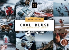 Bukeshop蓝色中性灰LR预设 5 Cool Blush Lightroom Presets Pack