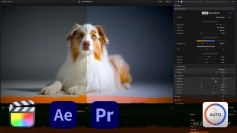 视频画面自动色彩色温白平衡调色工具FCPX/AE/PR插件 Auto Balancer