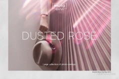 40张优美复古玫瑰粉金尘埃粒子艺术设计照片叠加图片素材 Dusted Rose Overlays