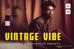 6种复古氛围电影胶片lr预设 6 Vintage Vibe Lightroom and Photoshop Presets