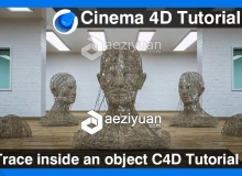 C4D对象内部跟踪线条充满物体视频教程 Trace inside an object Cinema 4D Tutorial