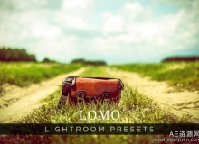 欧美LOMOLightroom预设 LOMO LIGHTROOM PRESETS VOLUME 1