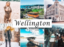 惠灵顿温馨旅拍LR预设/移动APP预设Wellington Mobile Lightroom Presets