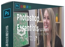 Photoshop设计艺术基础技能训练视频教程