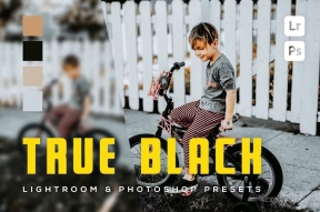 真正黑暗电影调色Lightroom预设 6 True Black Lightroom and Photoshop Presets