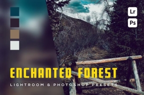 6电影风光后期调色LR预设 6 Enchanted Forest Lightroom and Photoshop Presets