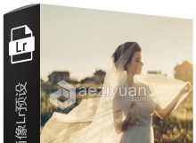 专业新娘婚纱肖像Lightroom预设 Brides Pro lightroom Presets