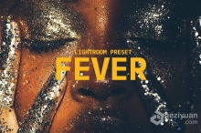 金色人像后期调色Lightroom预设 FEVER 5 PRESET FOR LIGHTROOM