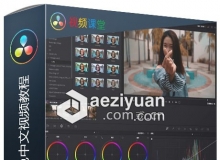 DaVinci Resolve达芬奇LUT调色中文视频教程