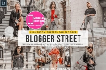 INS流行时尚街拍人像LR预设/移动APP调色滤镜 Blogger Street Lightroom Presets