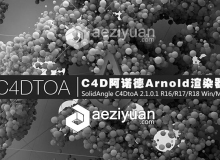 C4D阿诺德Arnold渲染器 SolidAngle C4DtoA 2.1.0.1 R16/R17/R18 Win/Mac