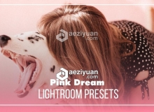 Insta时尚博客少女粉彩系列LR预设+移动APP预设 Pink Dream Lightroom Presets