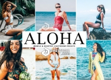 旅拍人像复古优美情绪LR预设+手机LR APP滤镜Aloha Lightroom Presets