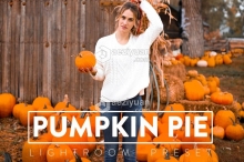 秋季南瓜节通透暖色调Lightroom预设 10 PUMPKIN PIE Lightroom Preset