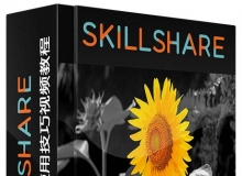 PS色彩隔离使用技巧视频教程Skillshare Photoshop Skills Isolate An Object And K...