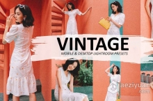 经典复古胶片INS风Lightroom预设/手机APP滤镜 Vintage Preset For Lightroom