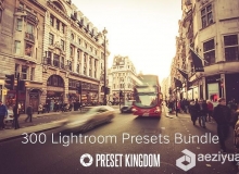 300Lightroom预设合集 300 Lightroom Presets Bundle