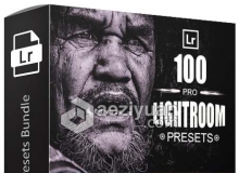 100 Pro Lightroom Presets Bundle